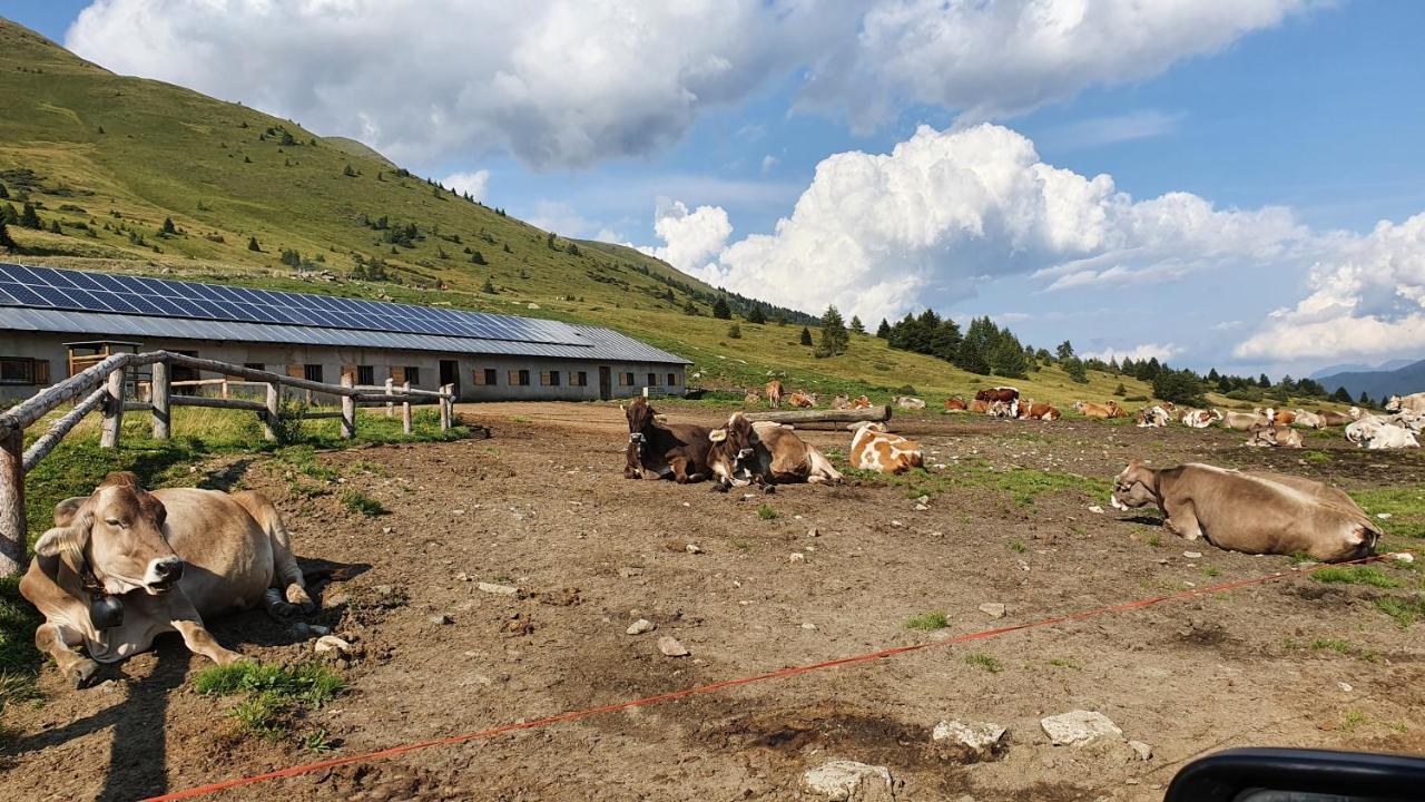 Marmot Apartment Димаро Экстерьер фото